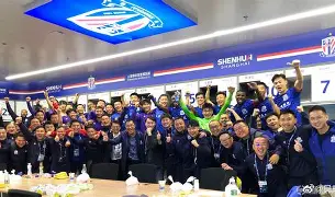 复旦申花是什么牌子